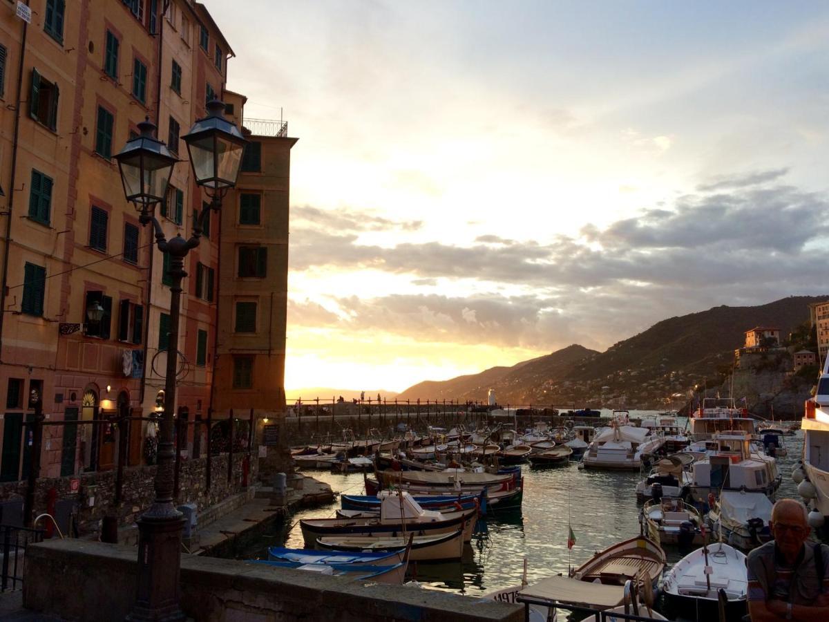 Sguardo Sul Porto Leilighet Camogli Eksteriør bilde