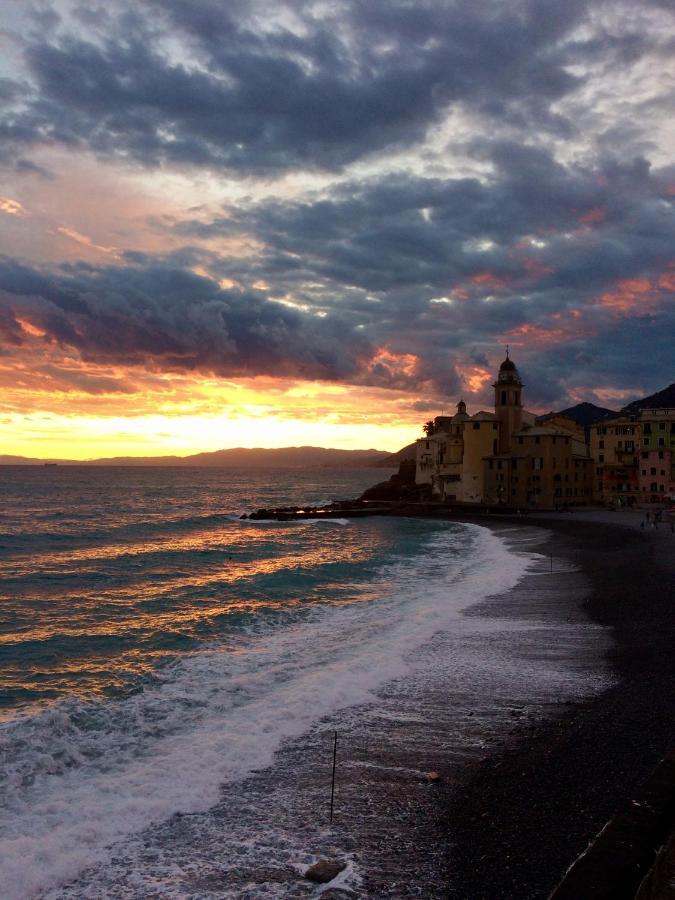 Sguardo Sul Porto Leilighet Camogli Eksteriør bilde